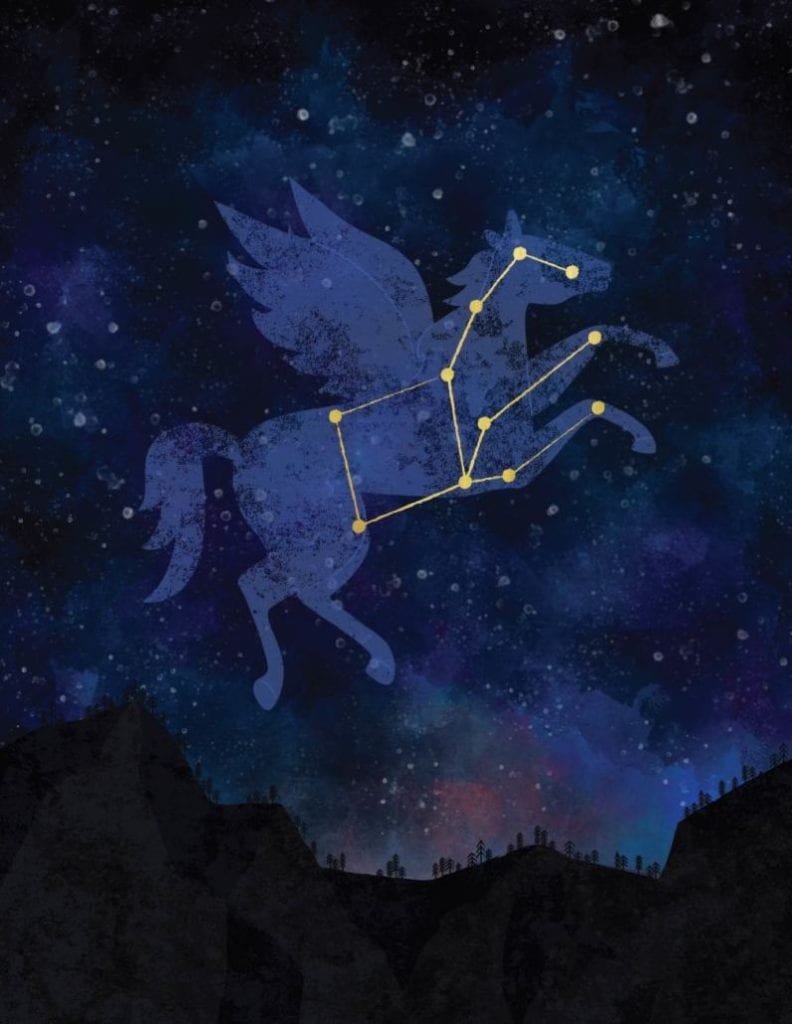 the art of pegasus
